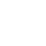 Circular emblem featuring a white airplane viewed from above, with two engine trails, on a green background.